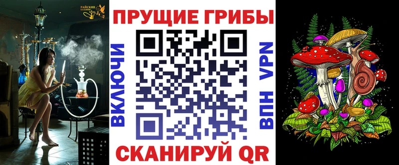 Псилоцибиновые грибы Cubensis мега зеркало Пласт как найти